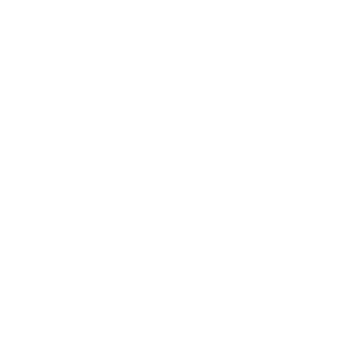 CSS